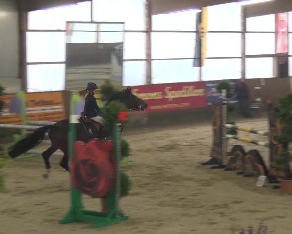 Reitturnier Pausin 2015
