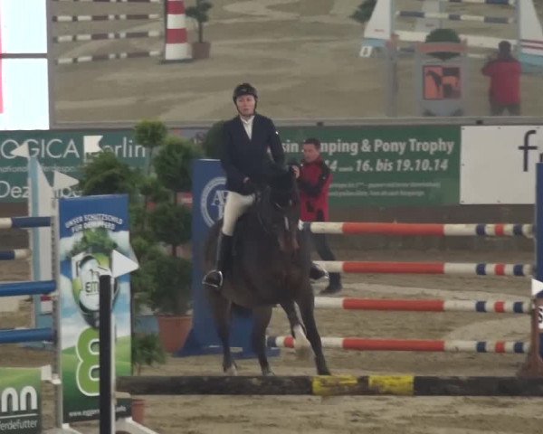 Reitturnier Pausin 2015