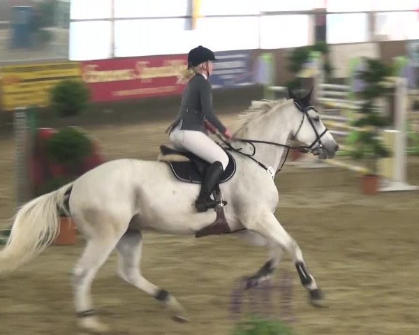 Reitturnier Pausin 2015