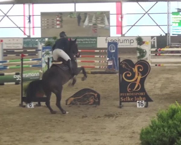 Reitturnier Pausin 2015