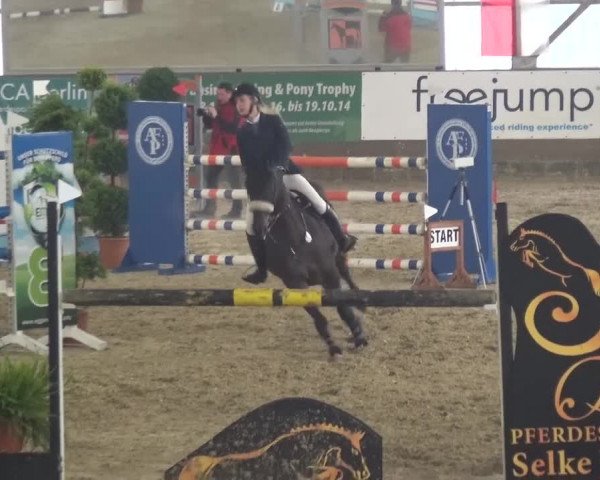 Reitturnier Pausin 2015