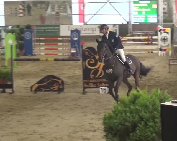 Reitturnier Pausin 2015