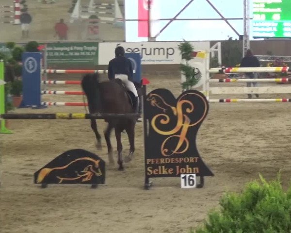 Reitturnier Pausin 2015