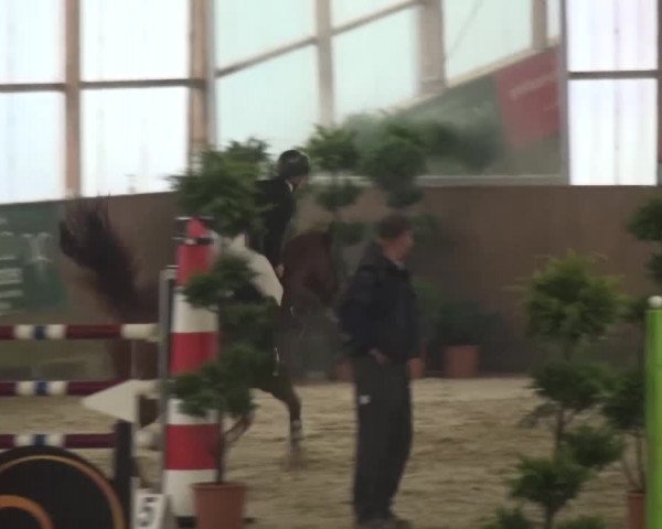 Reitturnier Pausin 2015