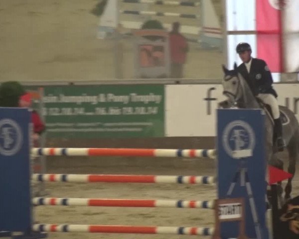 Reitturnier Pausin 2015