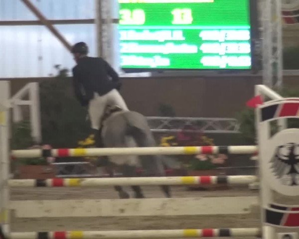 Reitturnier Pausin 2015