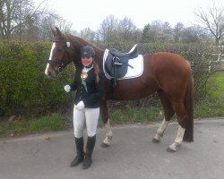 dressage horse Ronca 2 (Hanoverian, 2008, from Rotspon)