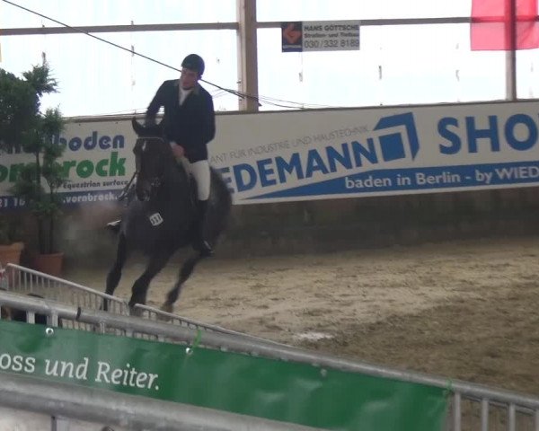 Reitturnier Pausin 2015