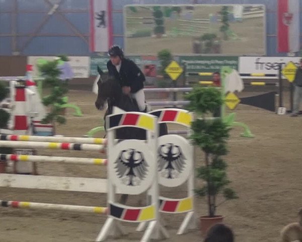 Reitturnier Pausin 2015