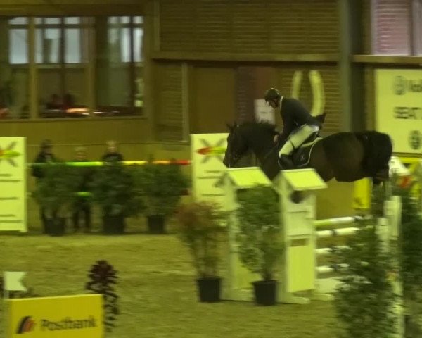 Reitturnier Köln-Leverkusen 2015