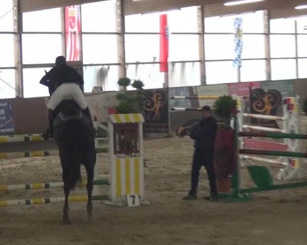 Reitturnier Pausin 2015