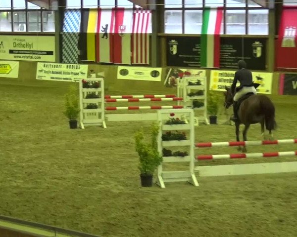 Reitturnier Köln-Leverkusen 2015