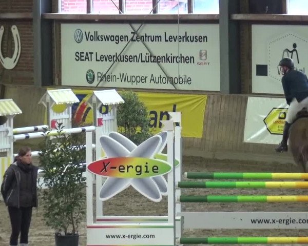 Reitturnier Köln-Leverkusen 2015