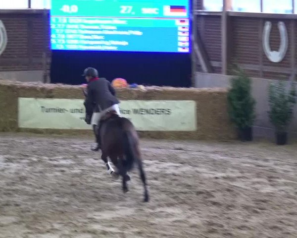 Reitturnier Köln-Leverkusen 2015