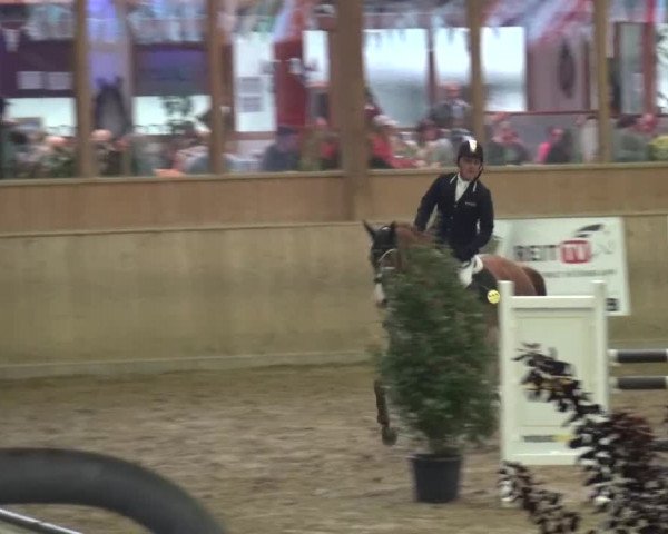 Reitturnier Köln-Leverkusen 2015