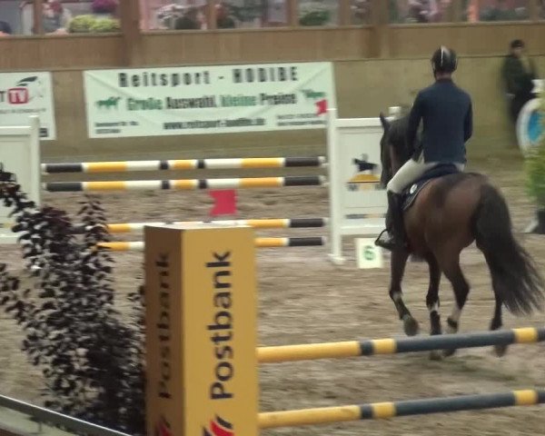 Reitturnier Köln-Leverkusen 2015