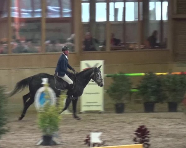 Reitturnier Köln-Leverkusen 2015