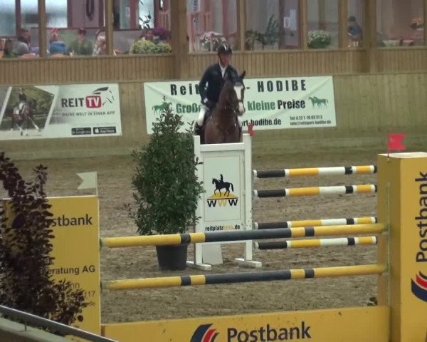 Reitturnier Köln-Leverkusen 2015