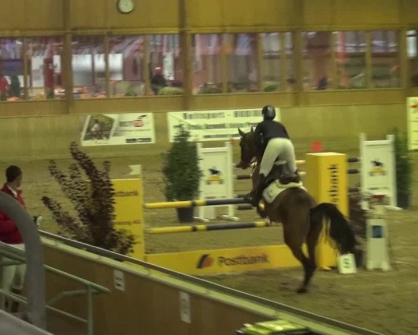 Reitturnier Köln-Leverkusen 2015