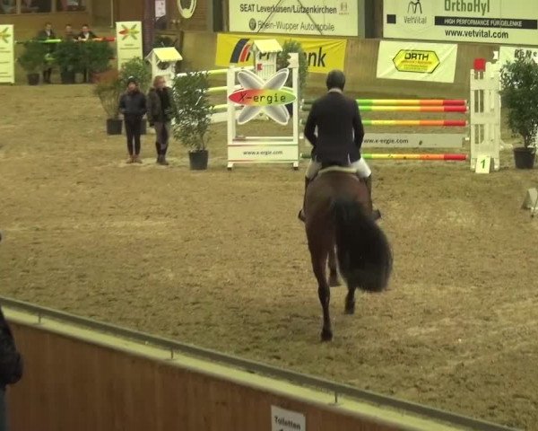 Reitturnier Köln-Leverkusen 2015