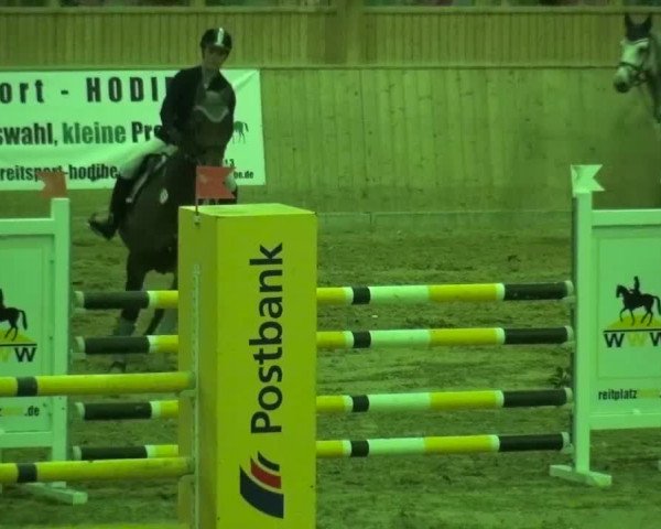 Reitturnier Köln-Leverkusen 2015