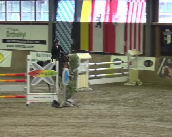 Reitturnier Köln-Leverkusen 2015
