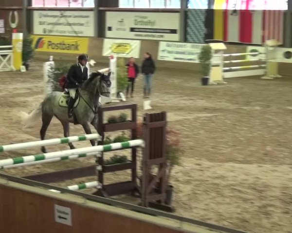 Reitturnier Köln-Leverkusen 2015