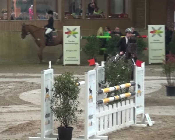 Reitturnier Köln-Leverkusen 2015