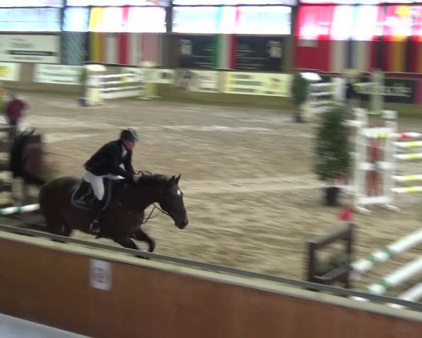 Reitturnier Köln-Leverkusen 2015