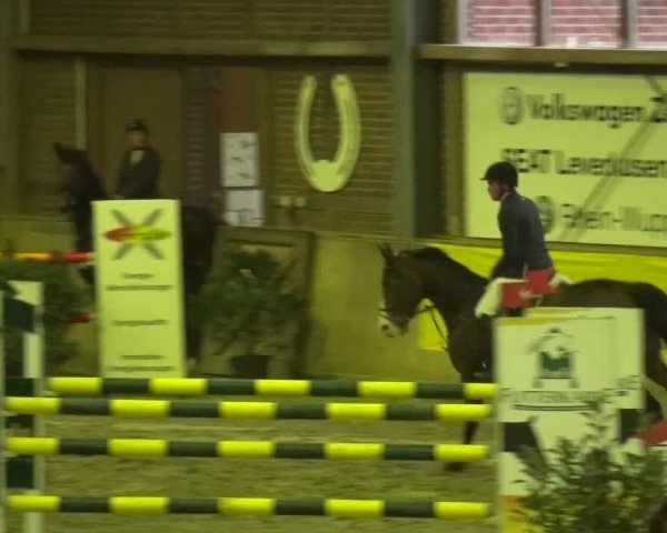 Reitturnier Köln-Leverkusen 2015