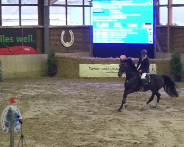 Reitturnier Köln-Leverkusen 2015