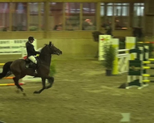 Reitturnier Köln-Leverkusen 2015
