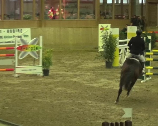 Reitturnier Köln-Leverkusen 2015