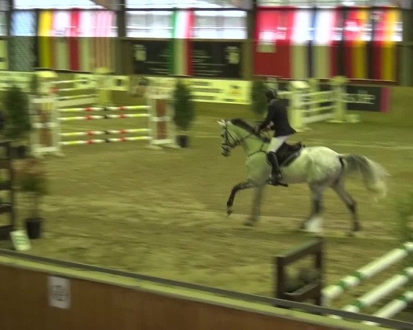 Reitturnier Köln-Leverkusen 2015