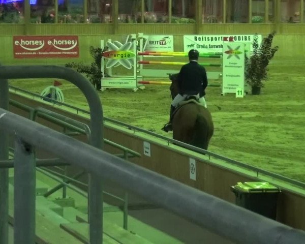 Reitturnier Köln-Leverkusen 2015
