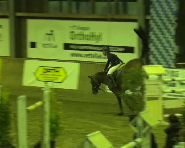 Reitturnier Köln-Leverkusen 2015