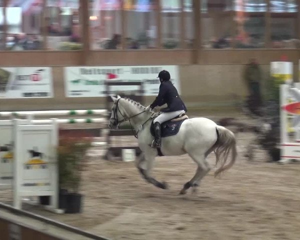 Reitturnier Köln-Leverkusen 2015
