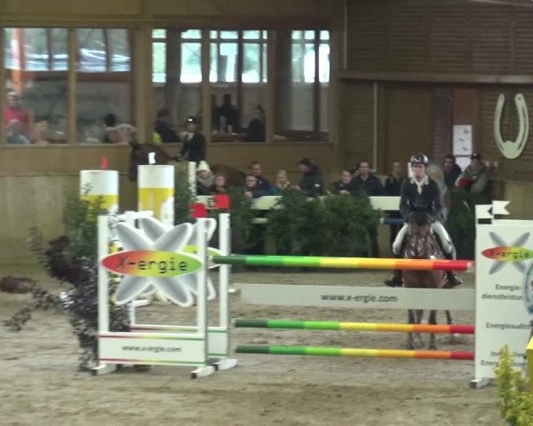 Reitturnier Köln-Leverkusen 2015