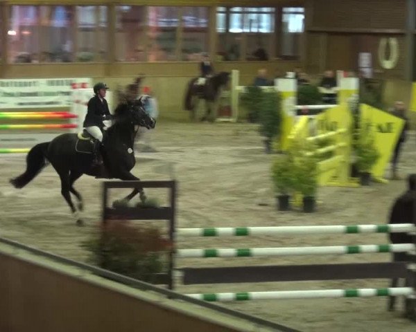 Reitturnier Köln-Leverkusen 2015