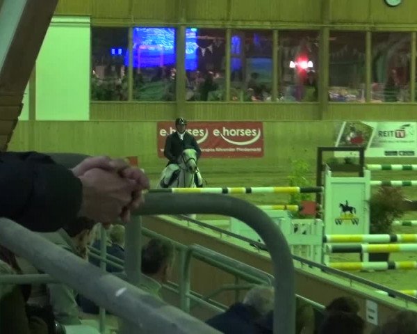 Reitturnier Köln-Leverkusen 2015