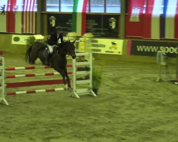 Reitturnier Köln-Leverkusen 2015