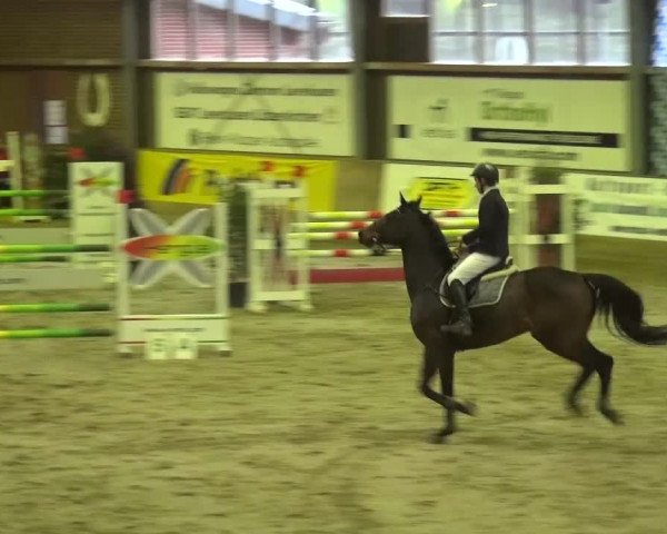 Reitturnier Köln-Leverkusen 2015