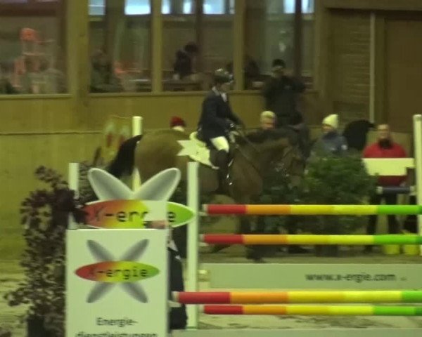 Reitturnier Köln-Leverkusen 2015