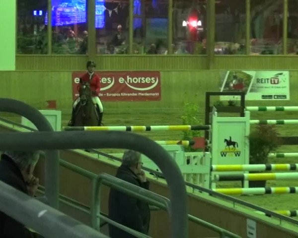 Reitturnier Köln-Leverkusen 2015