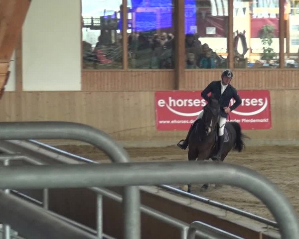 Reitturnier Köln-Leverkusen 2015
