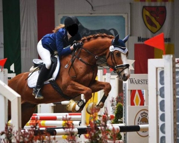 Dressurpferd Lugano 358 (Deutsches Sportpferd, 2009, von Levon 3)