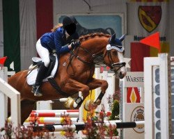 dressage horse Lugano 358 (German Sport Horse, 2009, from Levon 3)