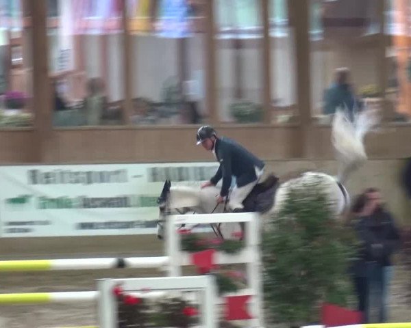 Reitturnier Köln-Leverkusen 2015