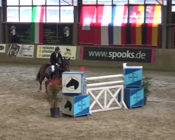 Reitturnier Köln-Leverkusen 2015