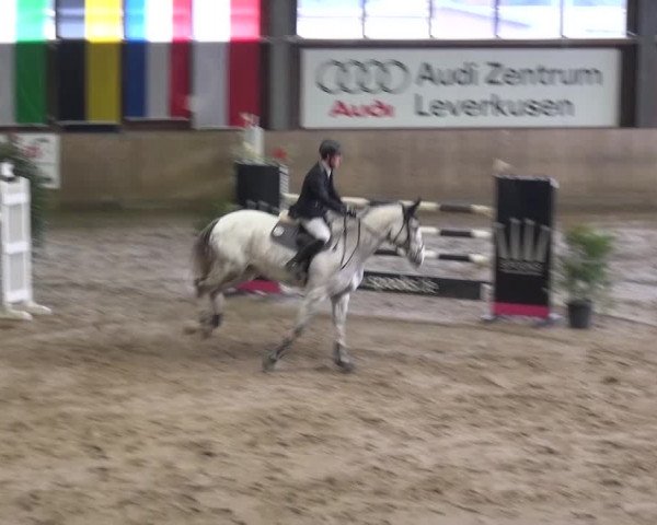 Reitturnier Köln-Leverkusen 2015